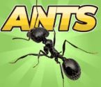 Pocket Ants logo