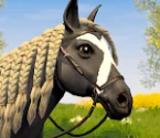 Star Equestrian - Horse Ranch logo